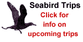 Pelagic seabird Trips off Monterey and Moss Landing - click to learn more