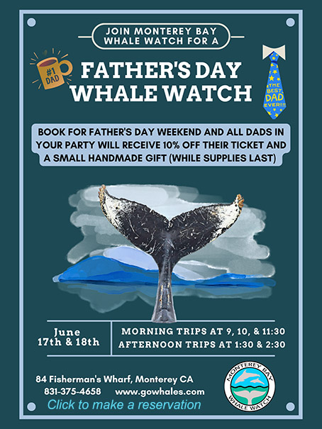 Father's Day Special Whale Watch