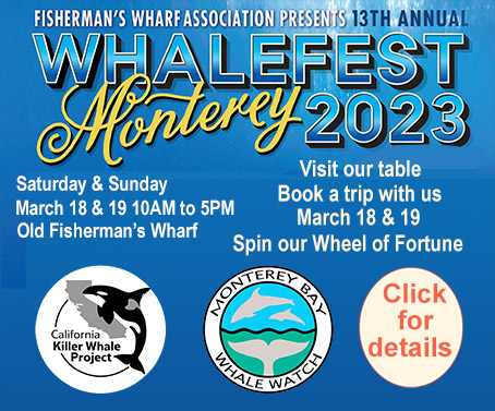 Whalefest 2023